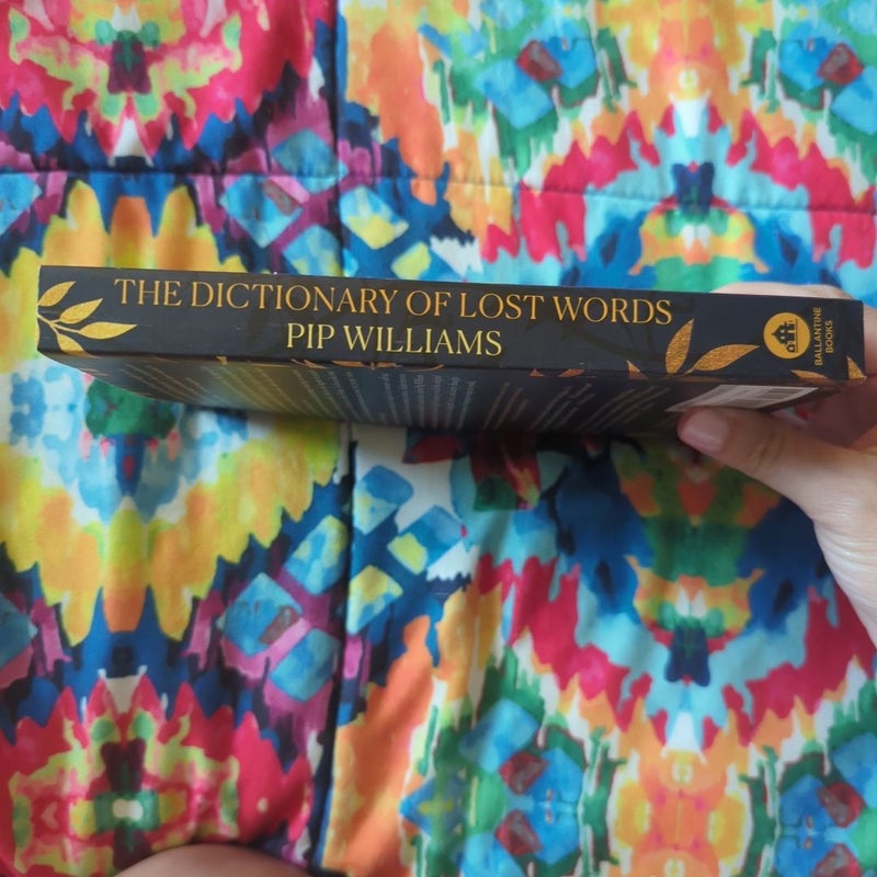 The Dictionary of Lost Words