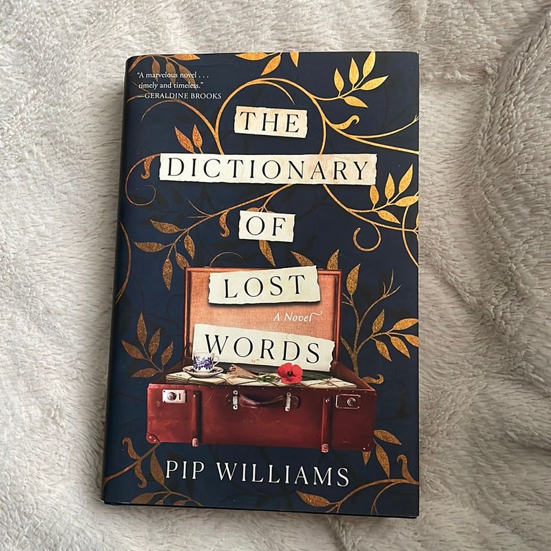 The Dictionary of Lost Words