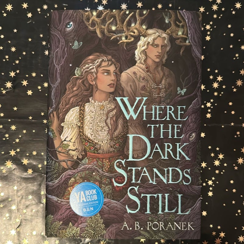 Where the Dark Stands Still