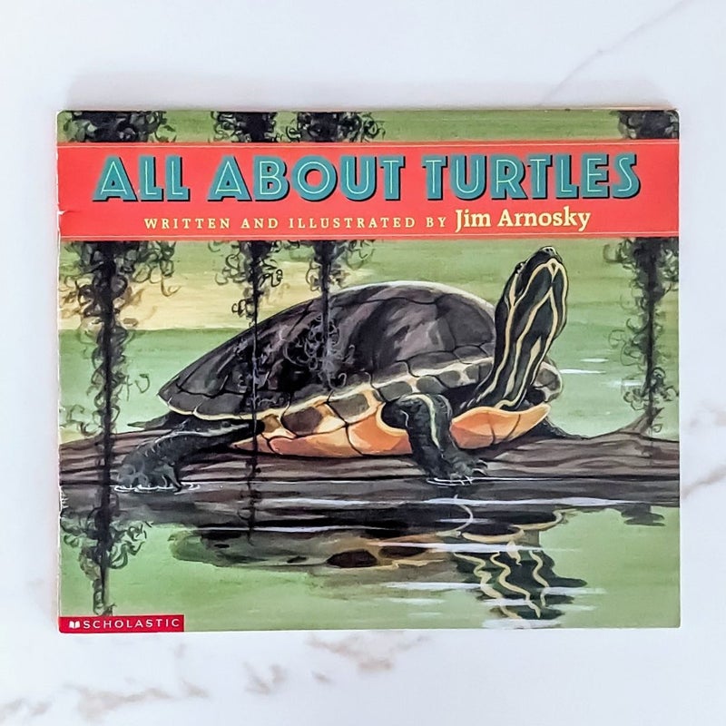 All about Turtles