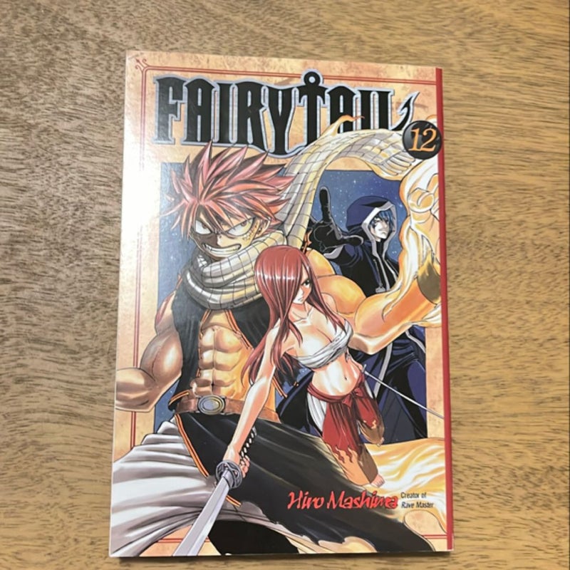 Fairy Tail 12