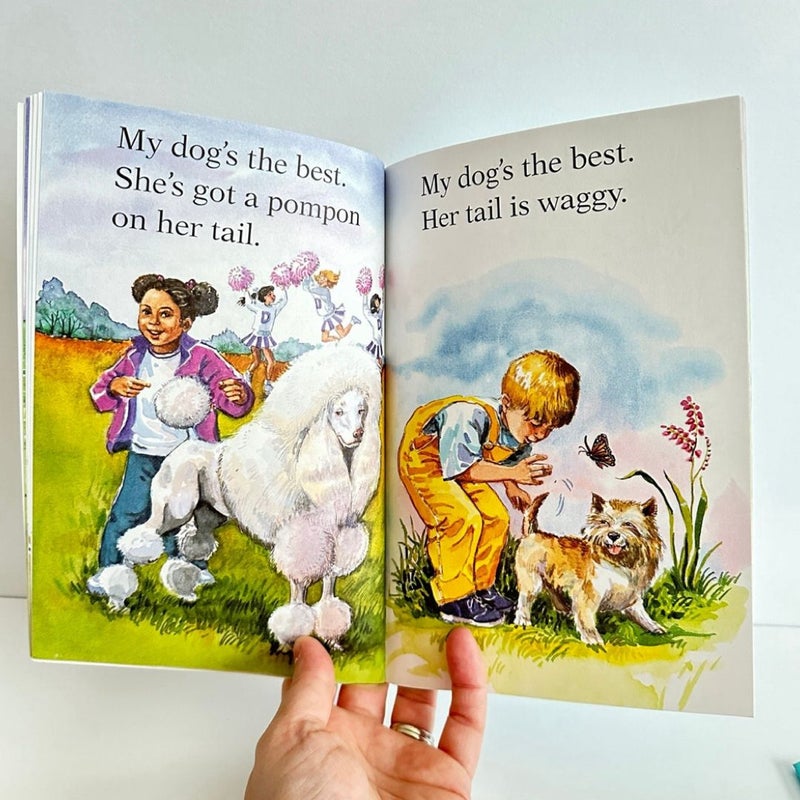 Early Reader book bundle, 4 books