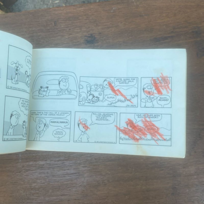 Garfield takes the Cake