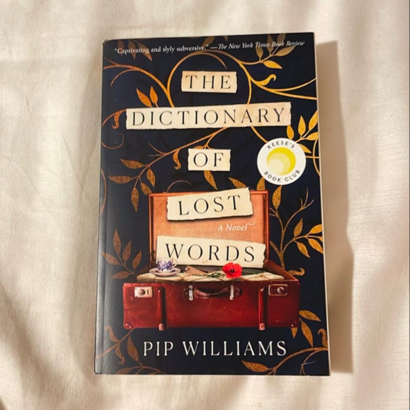 The Dictionary of Lost Words