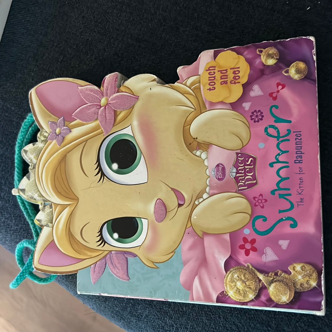 Palace Pets: Summer the Kitten for Rapunzel