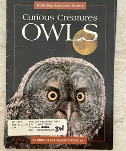 Curious Creatures Owls