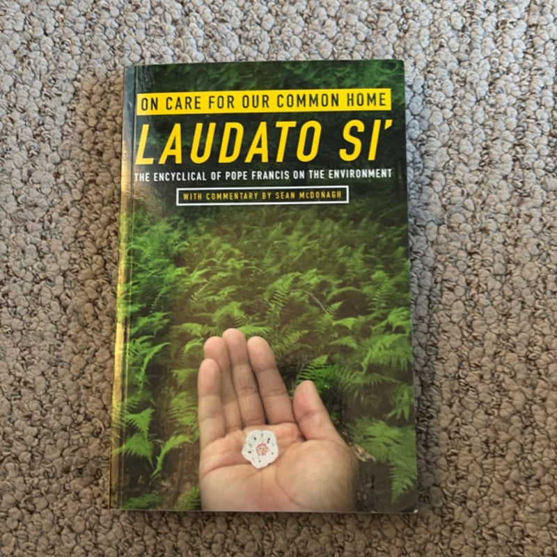 On Care for Our Common Home