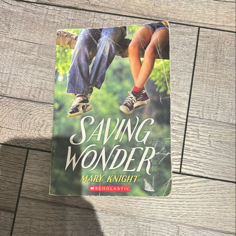 Saving Wonder