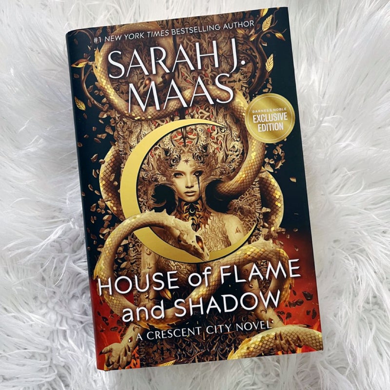 House of Flame and Shadow 