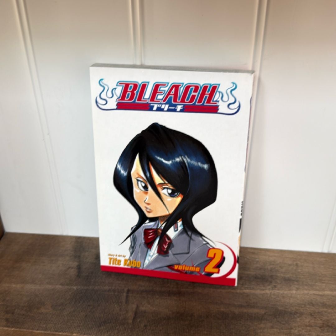 Bleach, Vol. 2