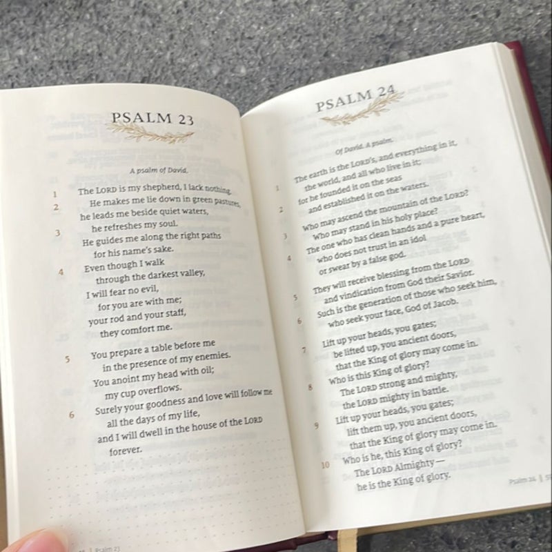 NIV Psalms and Proverbs [Burgundy]
