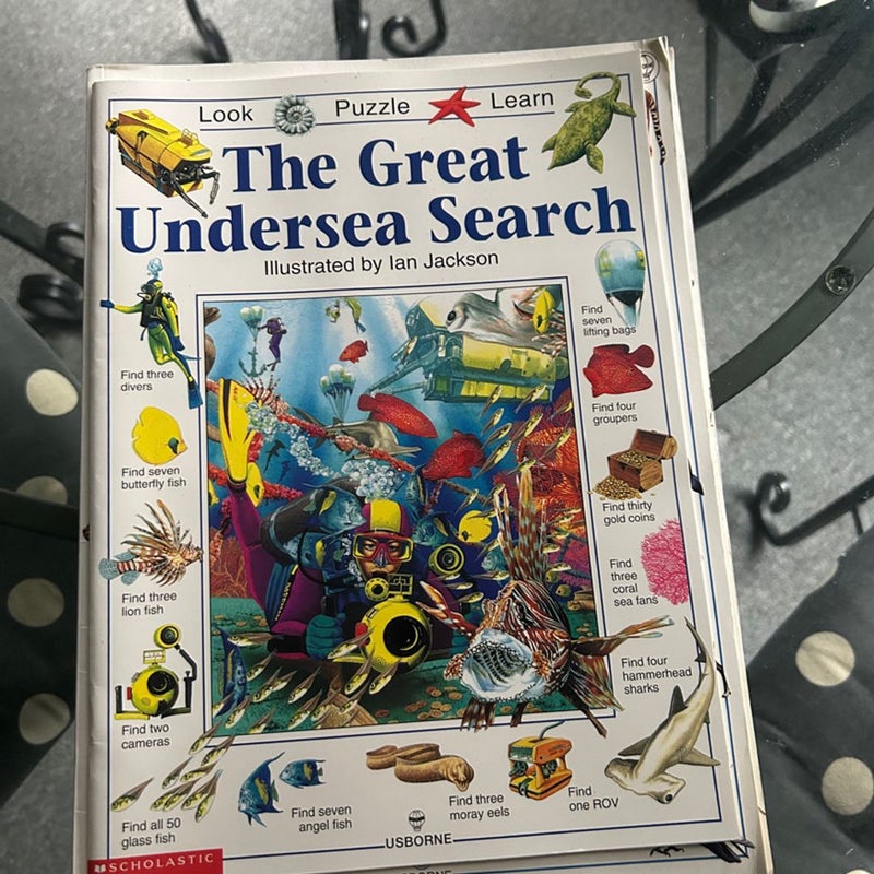 The great undersea search 