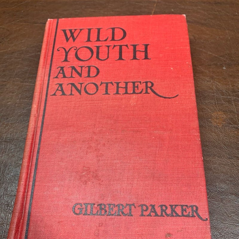 WILD YOUTH & ANOTHER by Gilbert Parker (hc 1919) In Acceptable Condition