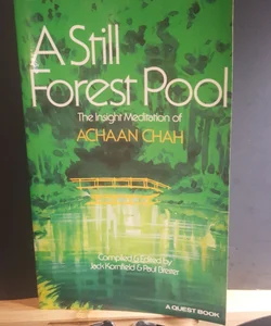 A Still Forest Pool