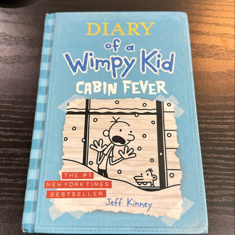 Diary of a Wimpy Kid # 6