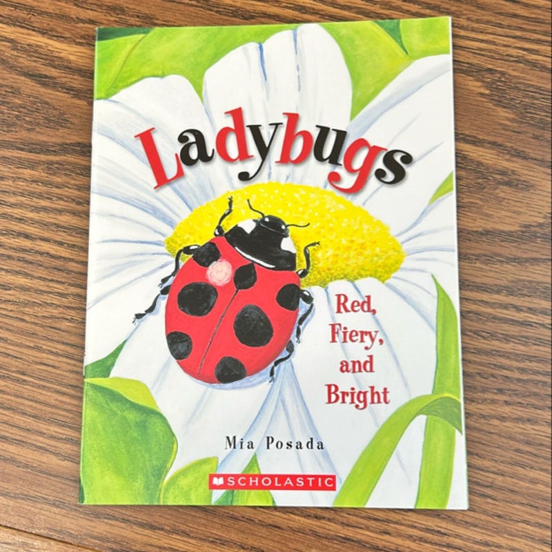 Ladybugs 