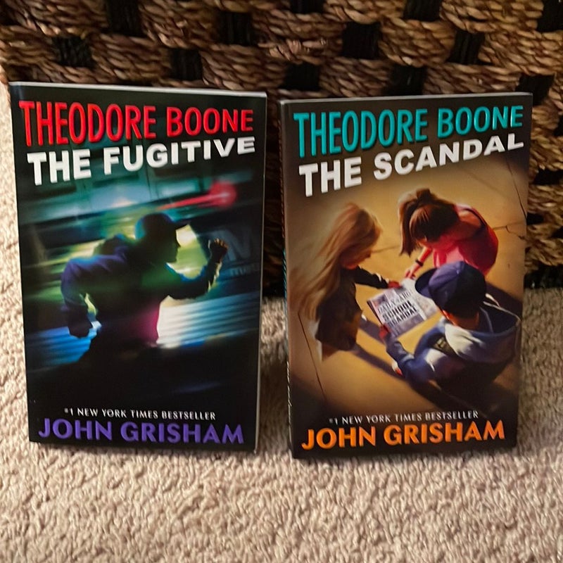 Theodore Boone series