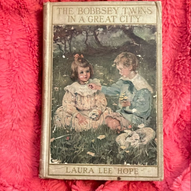 The Bobbsey Twins in a Great City