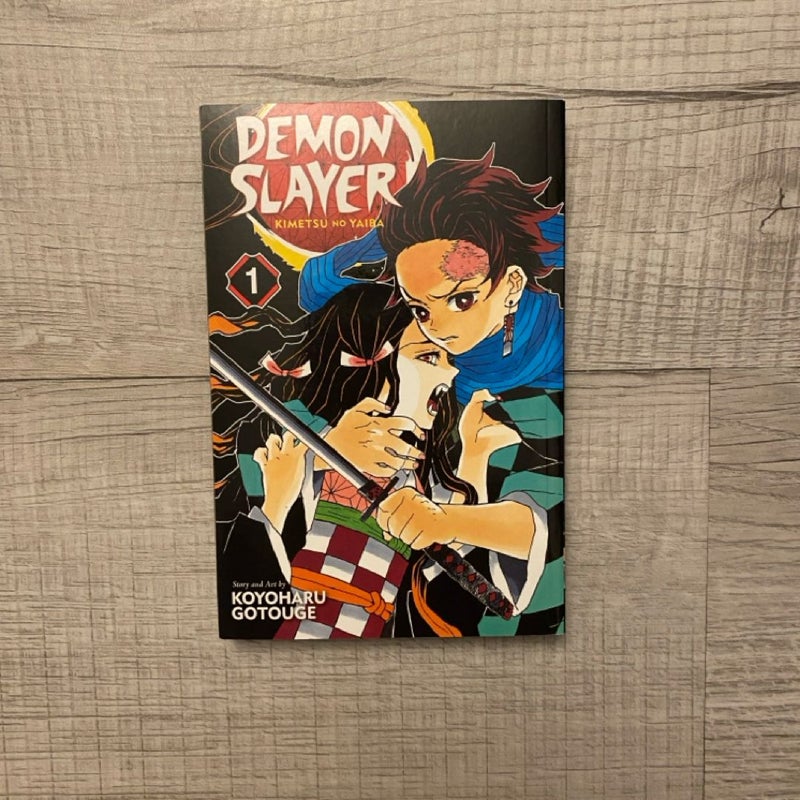 Demon Slayer: Kimetsu No Yaiba, Vol. 1