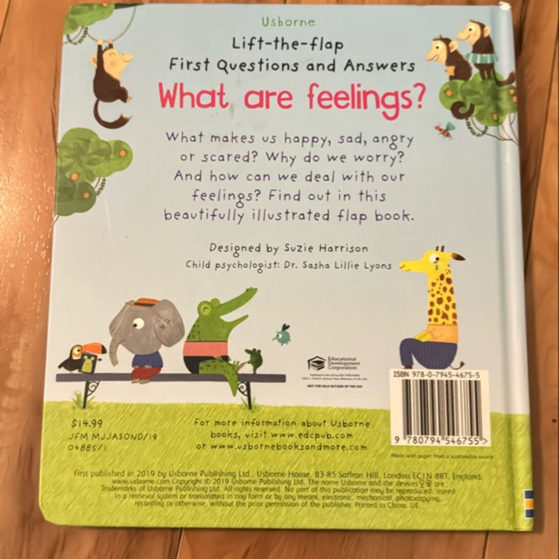 Lift-The-Flap First Questions and Answers What Are Feelings?