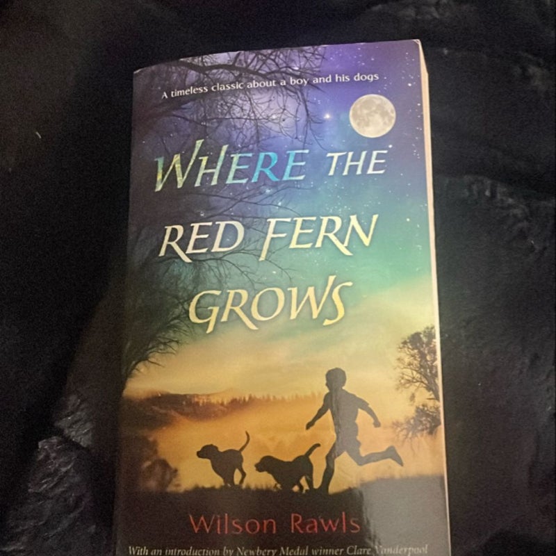 Where the Red Fern Grows