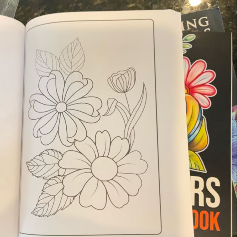 100 Easy Flowers Designs in Large Print Coloring Book for Adults