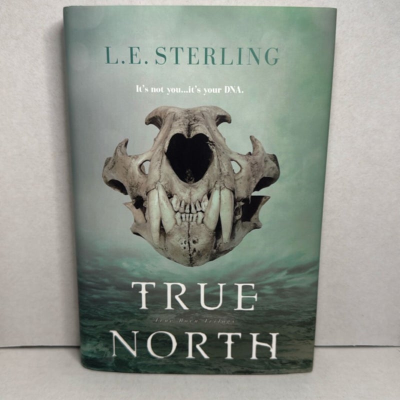 True North