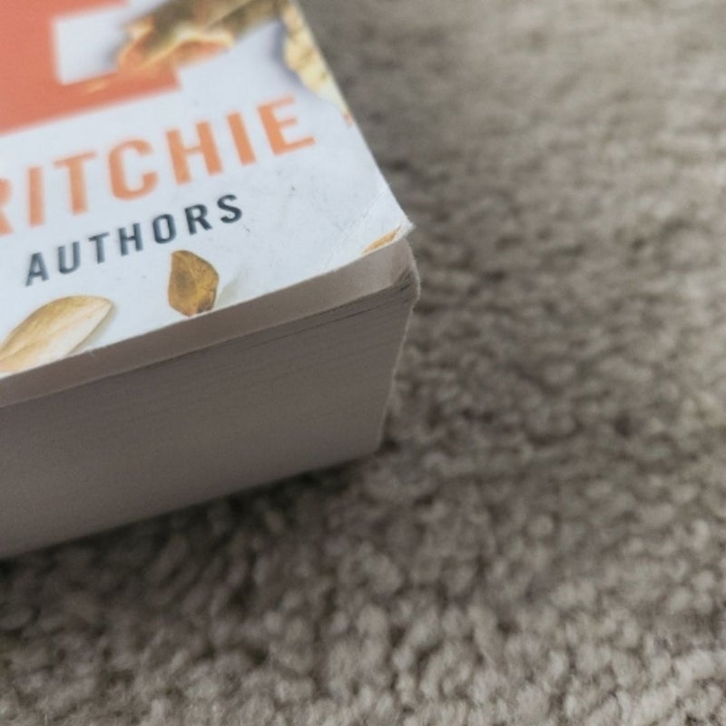 Fuel the Fire by Krista Ritchie, Paperback Pangobooks