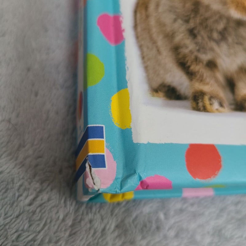 Baby's Very First Little Book of Bunnies