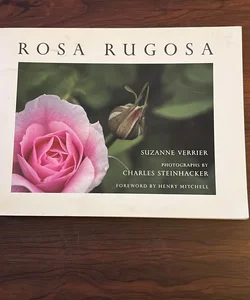 Rosa Rugosa