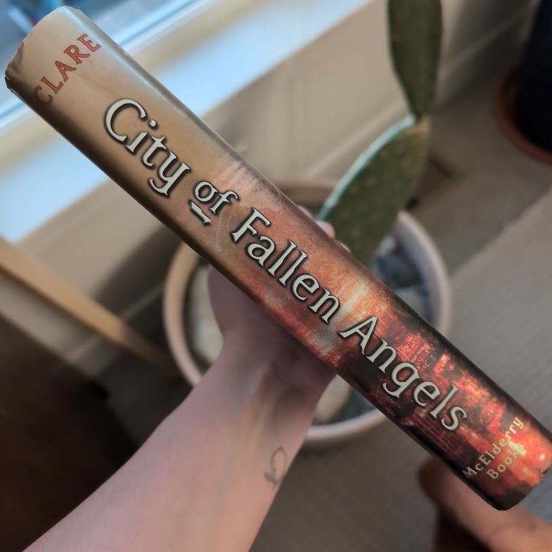 City of Fallen Angels