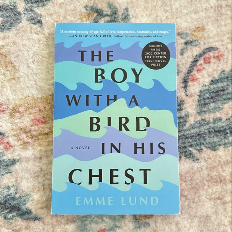 The Boy with a Bird in His Chest