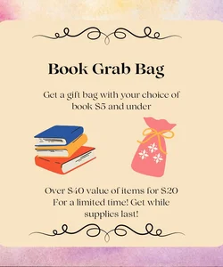 Book Gift Bag Sale