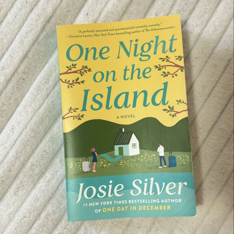 One Night on the Island