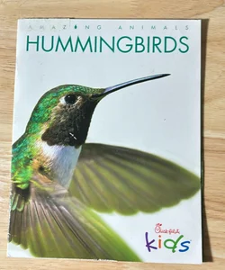 Hummingbird 