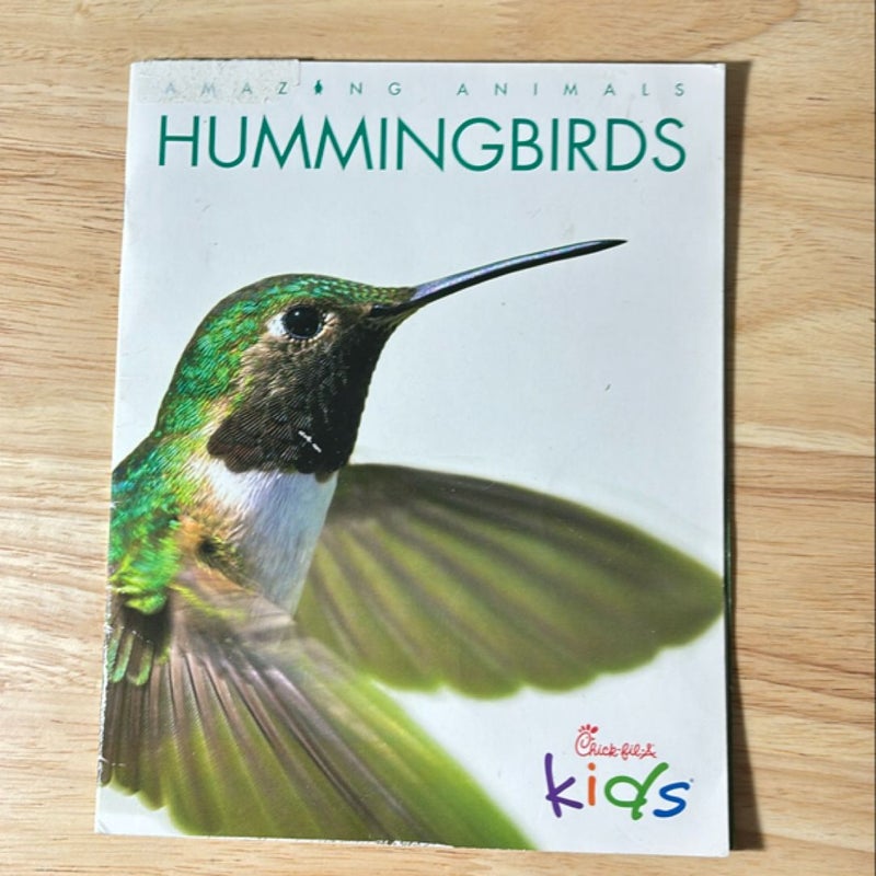 Hummingbird 