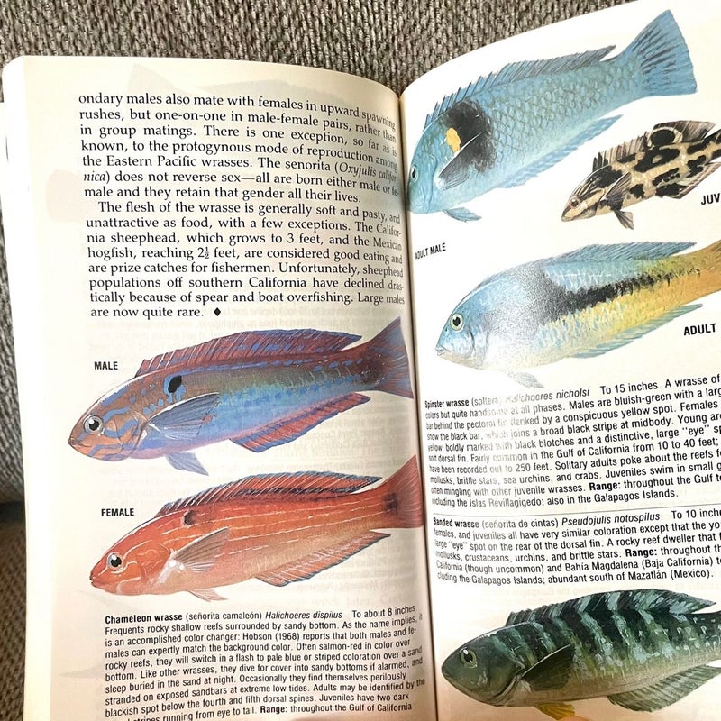 Fishes of the Pacific Coast