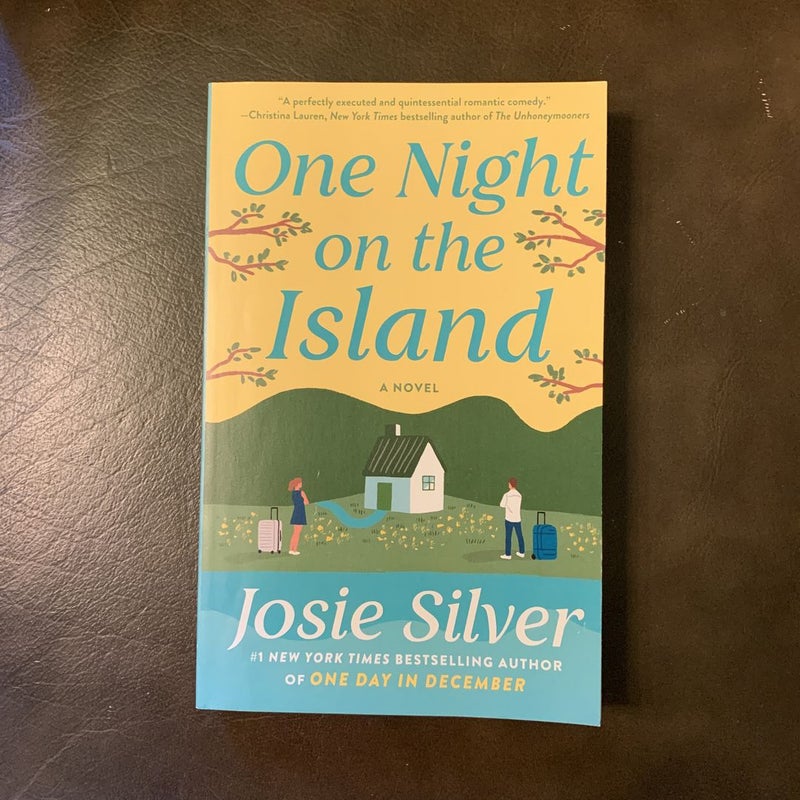 One Night on the Island