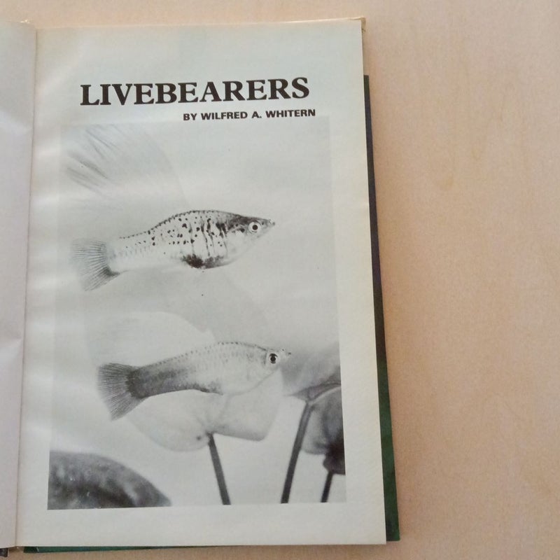 Livebearers