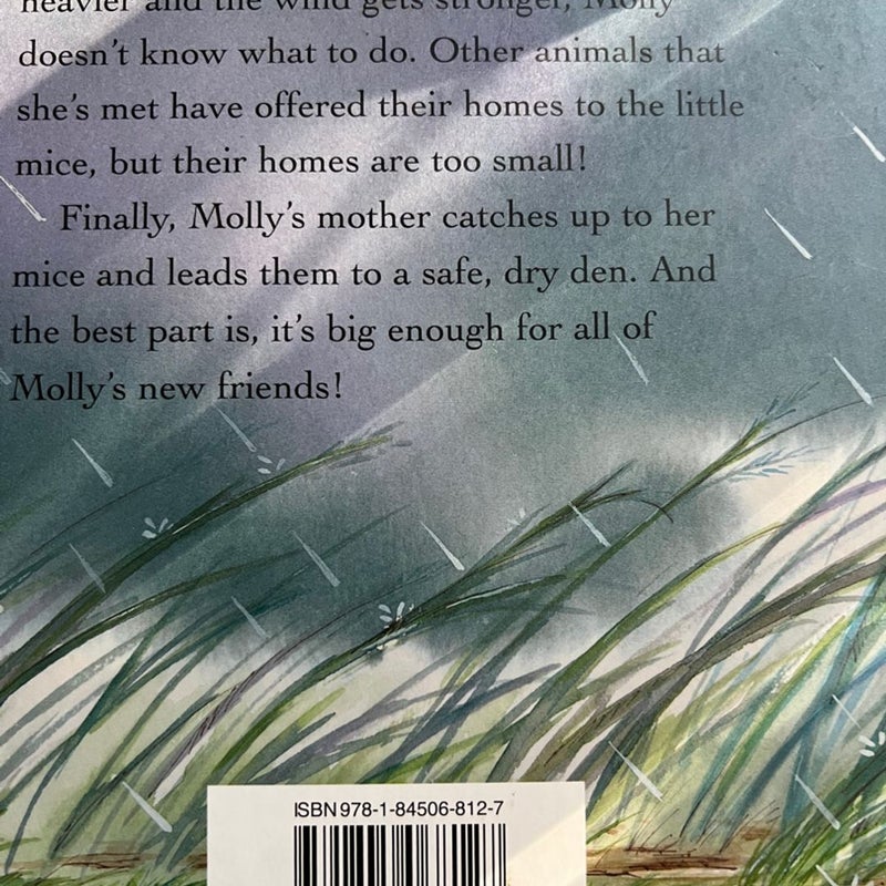 Molly and the Storm