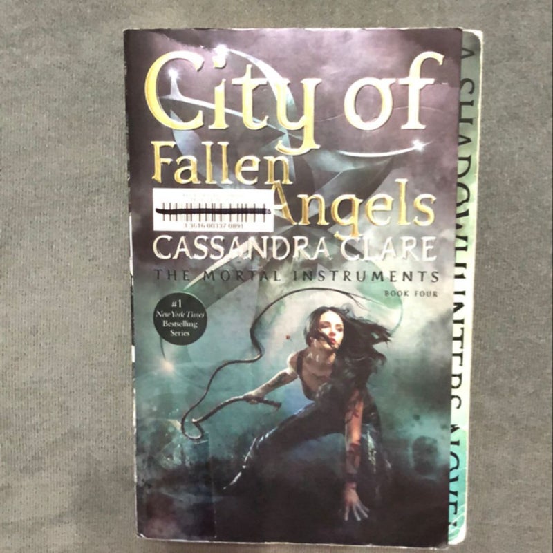 City of Fallen Angels