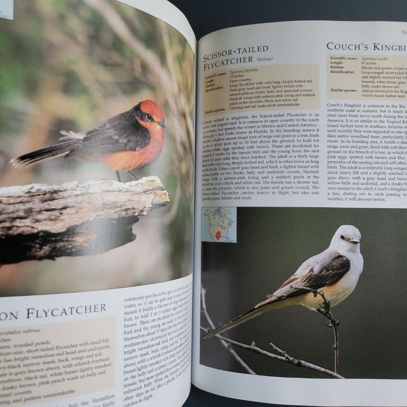 その他 The Encyclopedia of North American Birds Audubon Society Encyclopedia of North American Birds: Terres