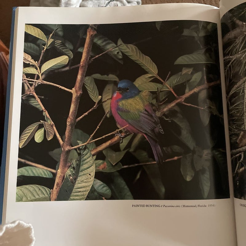 Eliot Porter by Eliot Porter, Hardcover Pangobooks