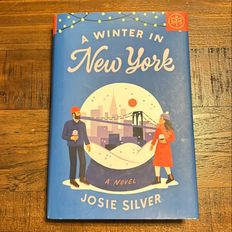 A Winter in New York