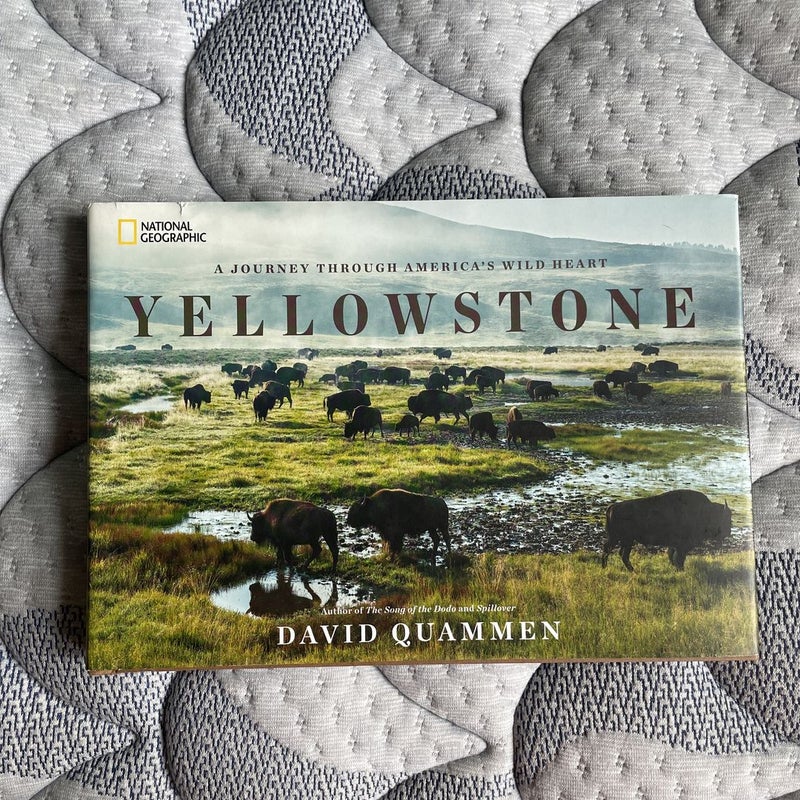 Yellowstone