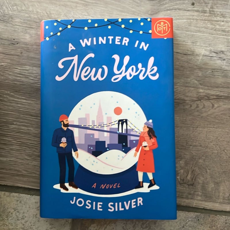 A Winter in New York