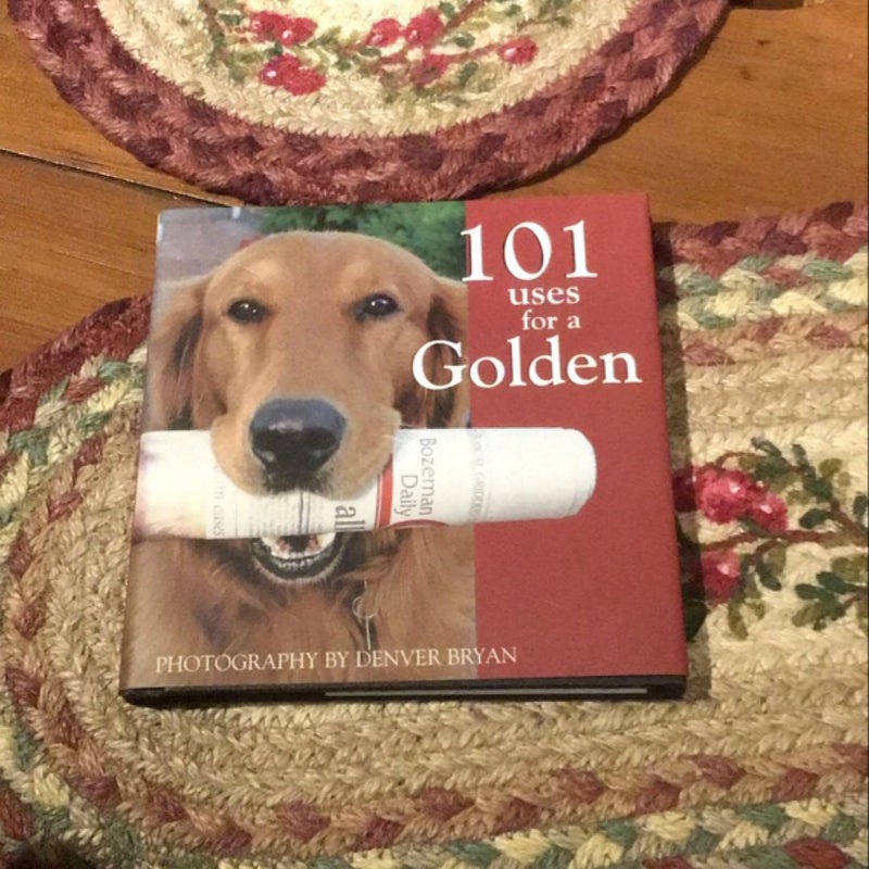 101 Uses for a Golden Hardcover Book