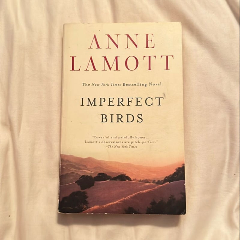 Imperfect Birds