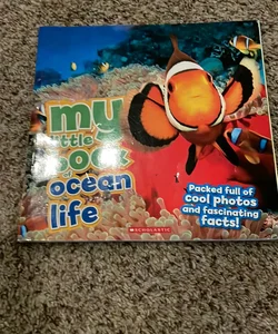 My Little Book Of Ocean Life