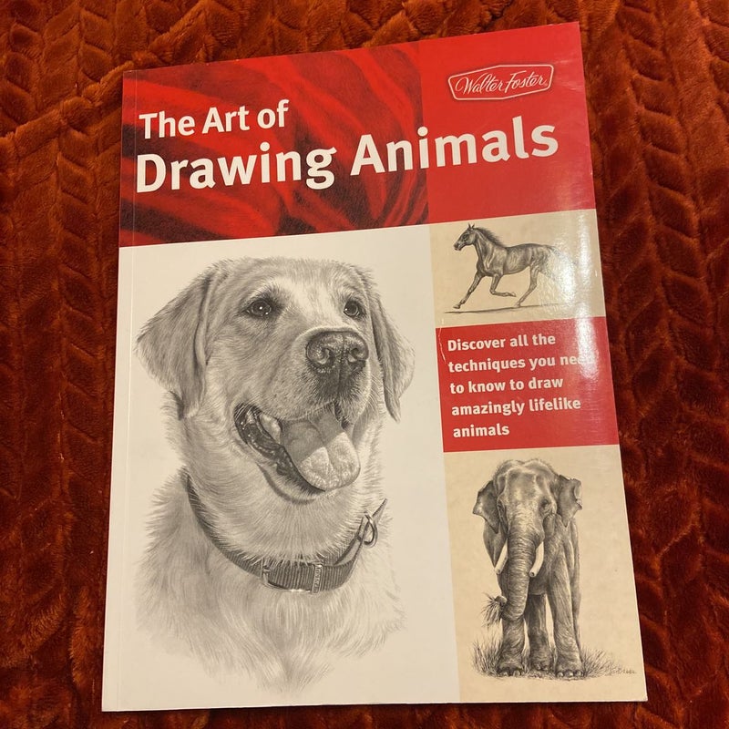 The Art of Drawing Animals